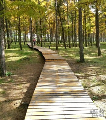 路+哈爾濱+走過的路