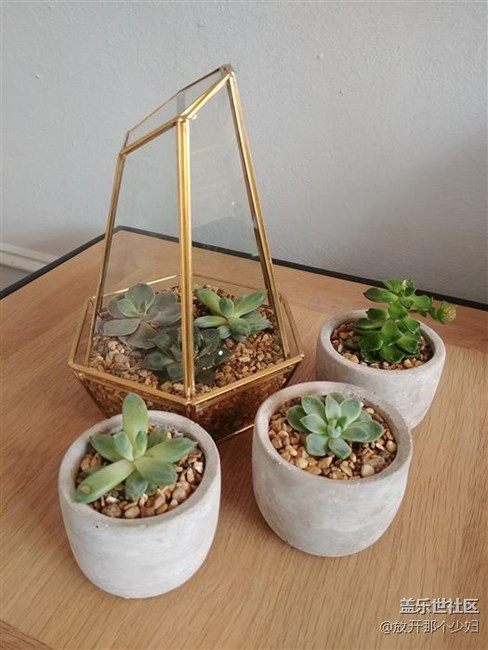 三星S8拍照樣張  iPhone 7弱爆了