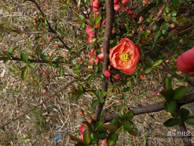 圣公山廟會(huì)