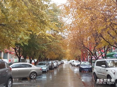 路＋烏魯木齊＋西域之秋