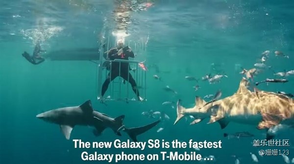 三星S8水下開箱：竟然引來了鯊魚群