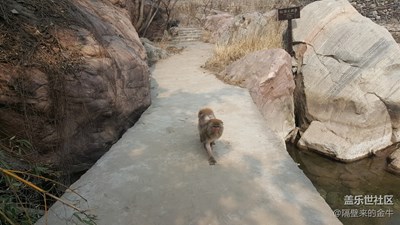 路+新鄉(xiāng)+路在腳下