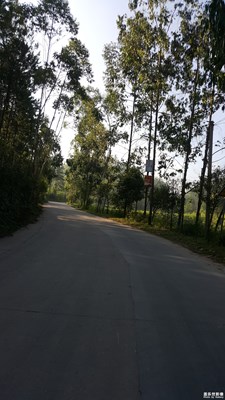 路+南雄+迎著太陽(yáng)上班 追著太陽(yáng)下班