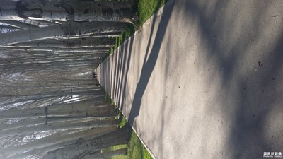 路+伊寧+曲徑通幽