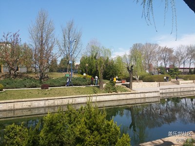 海棠花溪花未開