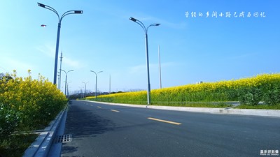 路+太倉(cāng)+我心中的路