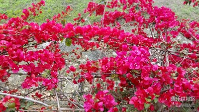 風(fēng)景秀麗隨時(shí)拍