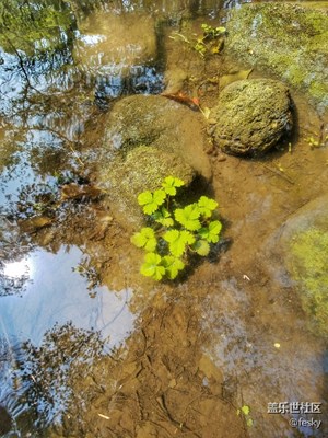 清明時(shí)節(jié)隨手拍