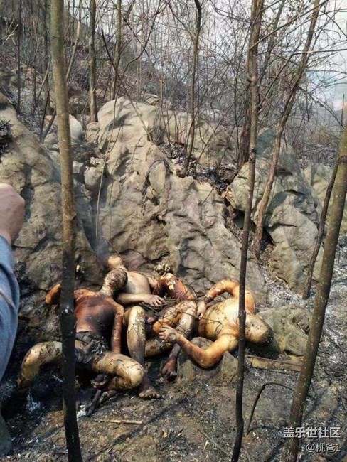 三個(gè)人掃墓救火被火燒成這樣