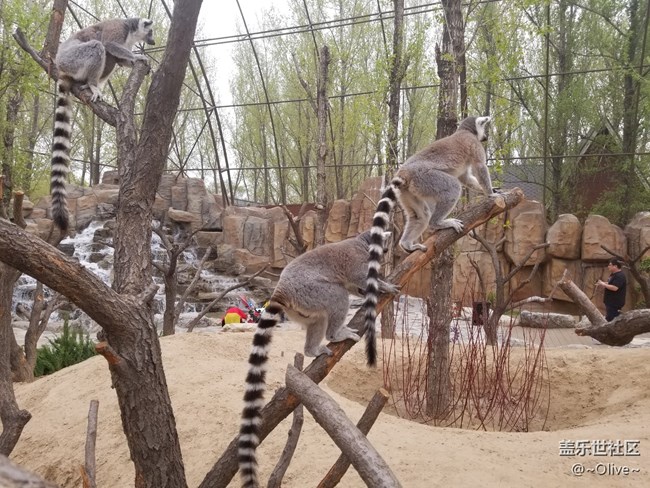 驚艷到極致便是永恒——Galaxy S8拍照體驗(yàn)【Olive】 驚艷到極致便是永恒——Galaxy S8拍照體驗(yàn)【Olive】