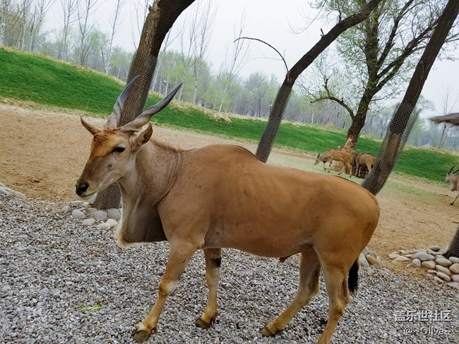 驚艷到極致便是永恒——Galaxy S8拍照體驗(yàn)【Olive】 驚艷到極致便是永恒——Galaxy S8拍照體驗(yàn)【Olive】