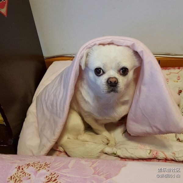 不用原廠線就不能快速充電嗎？