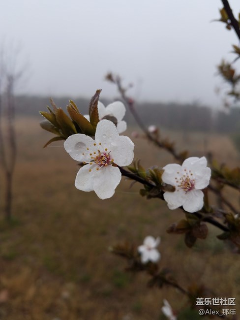 安卓7，確實拍照有問題