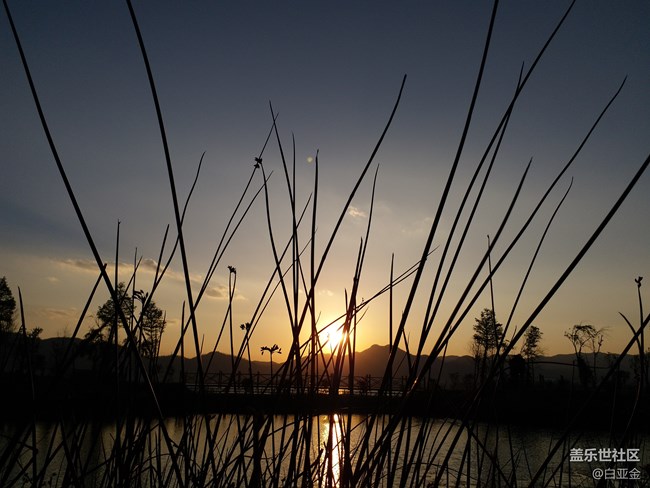 【樂享C5 Pro】Galaxy C5 Pro帶你看日落 【樂享C5 Pro】Galaxy C5 Pro帶你看日落