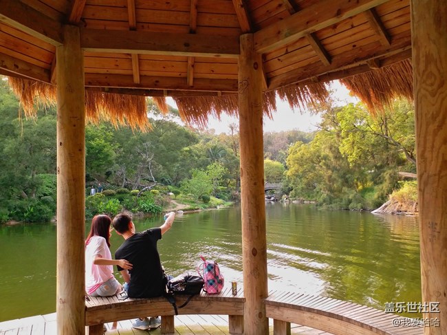 【樂享c5 pro】拍照體驗(yàn)——跟著C5 pro走進(jìn)廈大情人谷