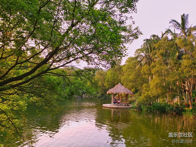 【樂享c5 pro】拍照體驗(yàn)——跟著C5 pro走進(jìn)廈大情人谷