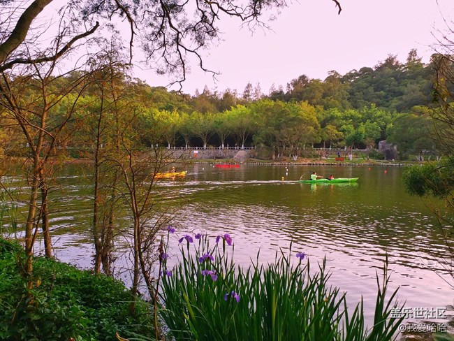 【樂享c5 pro】拍照體驗(yàn)——跟著C5 pro走進(jìn)廈大情人谷