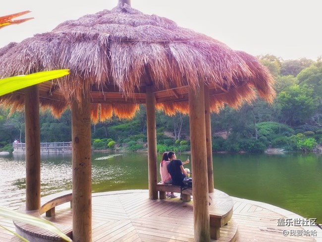 【樂享c5 pro】拍照體驗(yàn)——跟著C5 pro走進(jìn)廈大情人谷