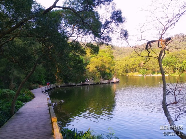 【樂享c5 pro】拍照體驗(yàn)——跟著C5 pro走進(jìn)廈大情人谷