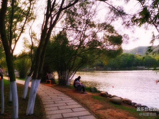 【樂享c5 pro】拍照體驗(yàn)——跟著C5 pro走進(jìn)廈大情人谷