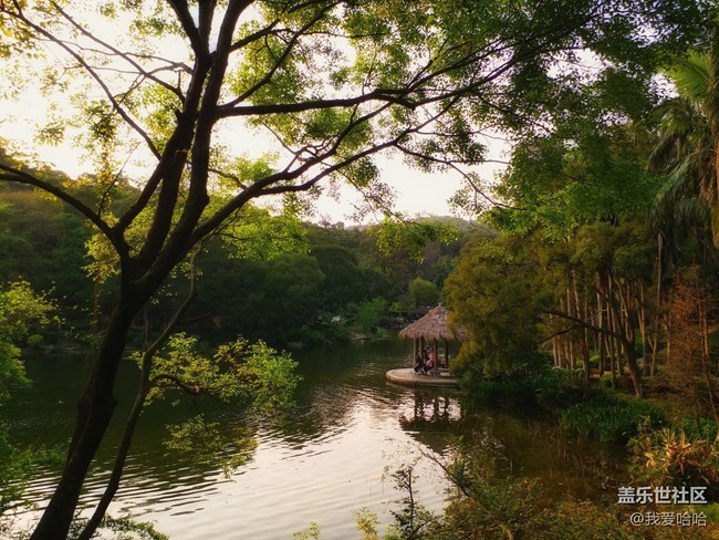 【樂享c5 pro】拍照體驗(yàn)——跟著C5 pro走進(jìn)廈大情人谷