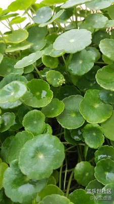 happy birthday to you