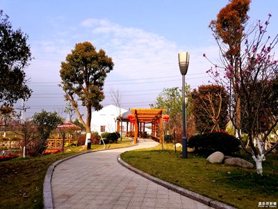 我眼中的世界+溫州+美麗新農(nóng)村