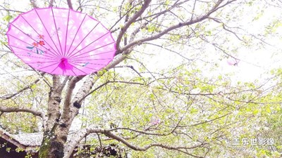 時光，濃淡相宜。。。。。