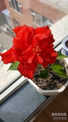 又是一個(gè)好天氣