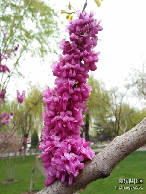 親愛(ài)的朋友們  早上好！