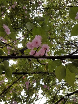 我眼中的世界+長(zhǎng)沙+春天