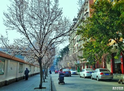 我眼中的世界+綿陽(yáng)市+生活之路