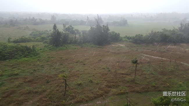 來(lái)吧，也就三星能拍出這個(gè)效果了吧。