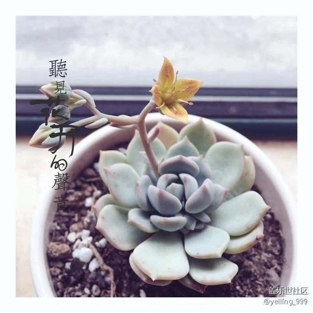 【簽到】2017年4月12日簽到貼