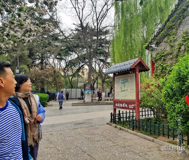 清明時(shí)節(jié)，去大明湖畔邂逅夏雨荷