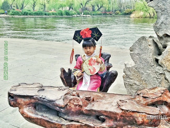 清明時(shí)節(jié)，去大明湖畔邂逅夏雨荷