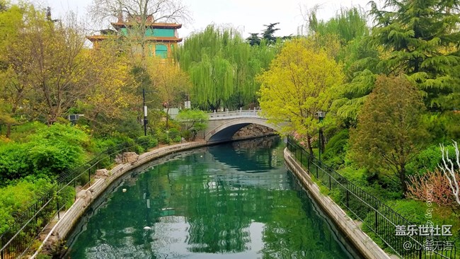 清明時(shí)節(jié)，去大明湖畔邂逅夏雨荷