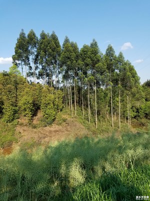 釣小龍蝦不是重點(diǎn)，享受好天氣