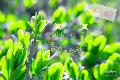 我眼中的世界＋沈陽＋花開花落