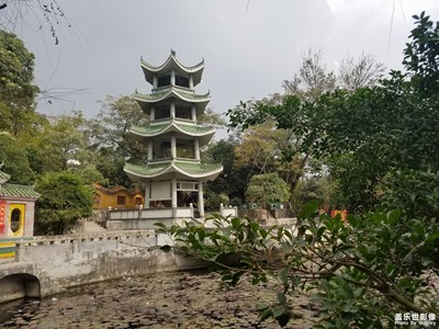 游園花絮十廣東十安鋪中山公園