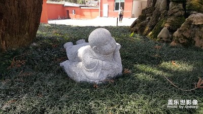 隨拍
