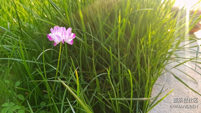 有了光   便成就了影