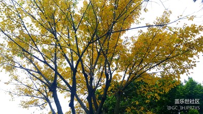 春風(fēng)掃落葉