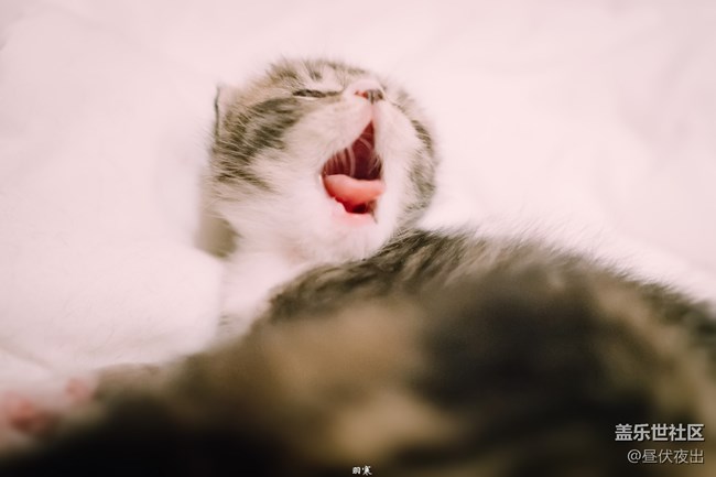 出生剛一周，萌死人