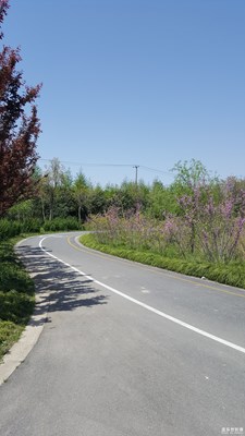 我眼中的世界+上海普陀外環(huán)+春天