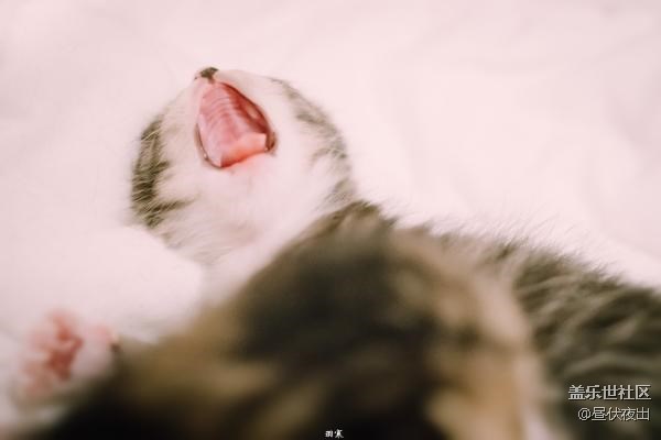 出生剛一周，萌死人