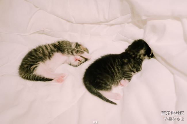 出生剛一周，萌死人