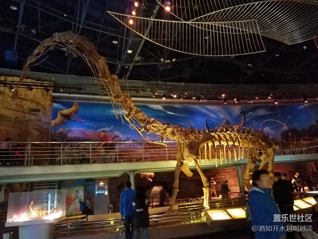 6.0相機(jī)弱光下。。。