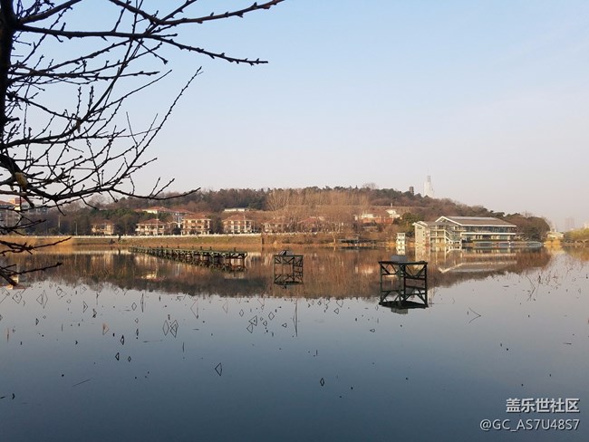 南京玄武湖早晨隨拍(還有這么個(gè)地方,下次來多學(xué)習(xí))