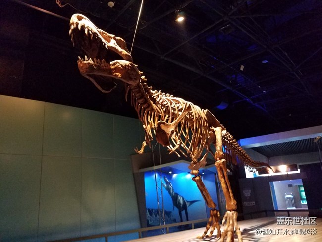 6.0相機(jī)弱光下。。。